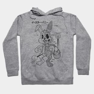 EASTER BUNNY ANATOMY - LINES Hoodie